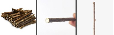 10 Matatabi Katzenminze Dick Sticks Kauhölzer Zahnpflege 120mm Katze Silvervine