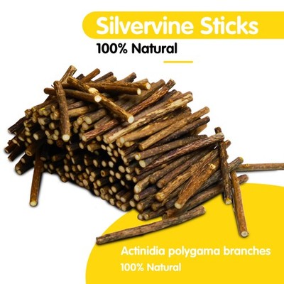 10 Matatabi Katzenminze Dick Sticks Kauhölzer Zahnpflege 120mm Katze Silvervine