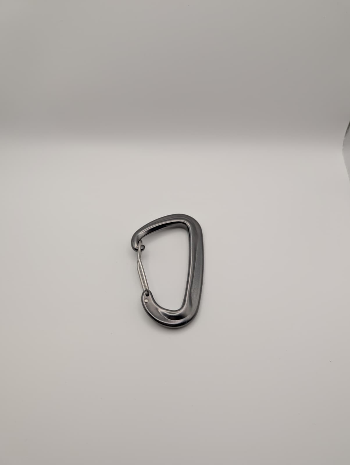 Karabinerhaken Edelstahl 8kN 816kg Silber Mountaineering Haken Clip