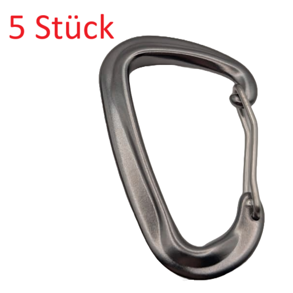5 Stück Karabinerhaken Edelstahl 8kN 816kg Silber Mountaineering Haken Clip